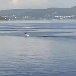 Vacaciones En El Mar - Parking Opcional Verano 公寓 桑亨霍