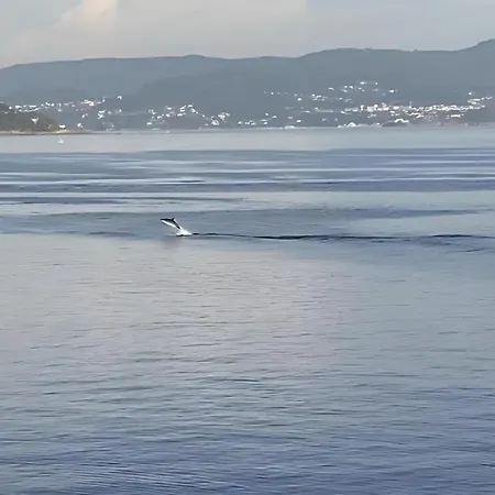 Vacaciones En El Mar - Parking Opcional Verano Appartement Sanxenxo